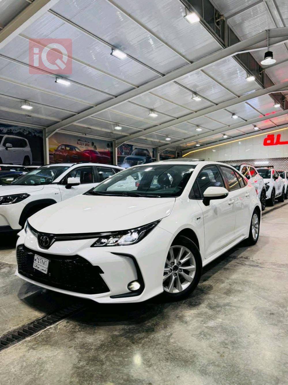 تويوتا كورولا